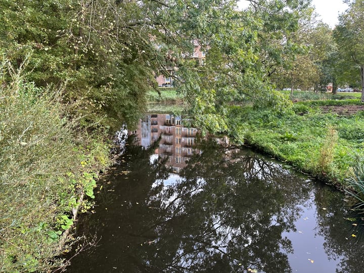 Foto 43 van Graaf Adolflaan 2