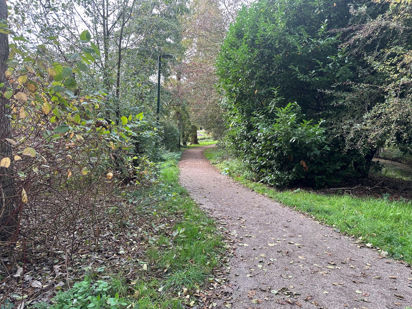 Foto 44 van Graaf Adolflaan 2