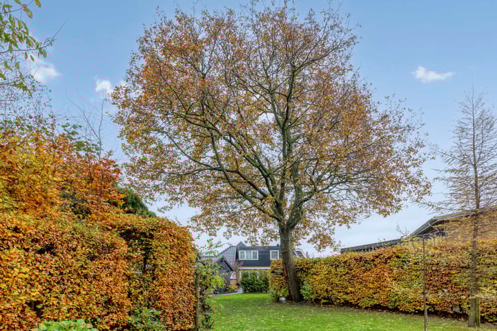 Photo 56 of Foarwei 112