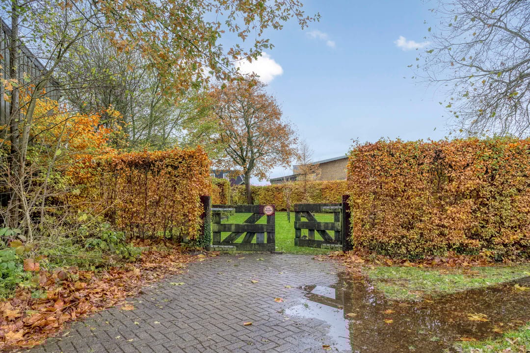 Photo 58 of Foarwei 112