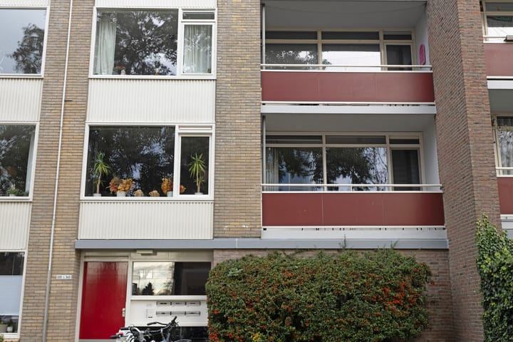 Foto 5 van Plutolaan 337