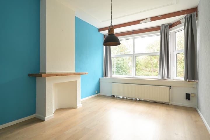 Foto 2 van Tholensestraat 159