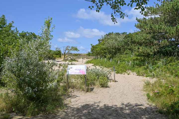 Foto 26 van Tholensestraat 159