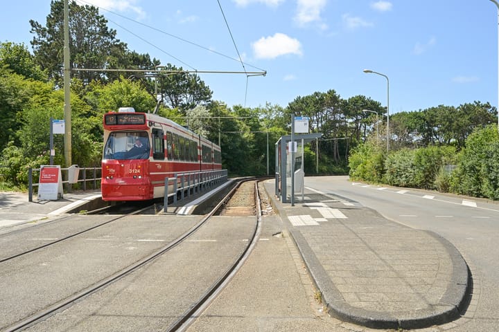 Foto 31 van Tholensestraat 159