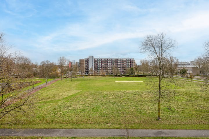 Photo 46 of Koolhovenstraat 21