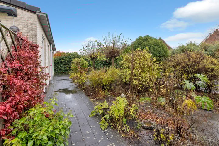 Foto 37 van Hemelboog Binnen 35