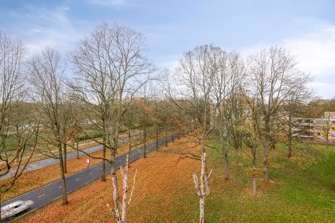 Foto 11 van Friezenlaan 128