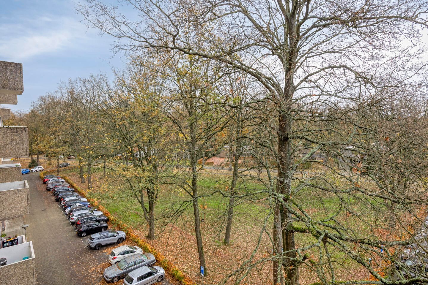 Foto 25 van Friezenlaan 128