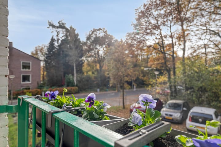 Foto 22 van Surinamelaan 81-A