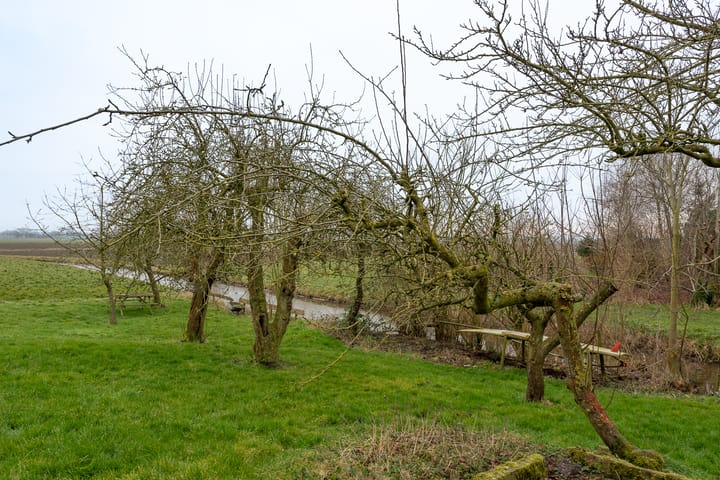 Foto 51 van Buitendijksweg 10-B