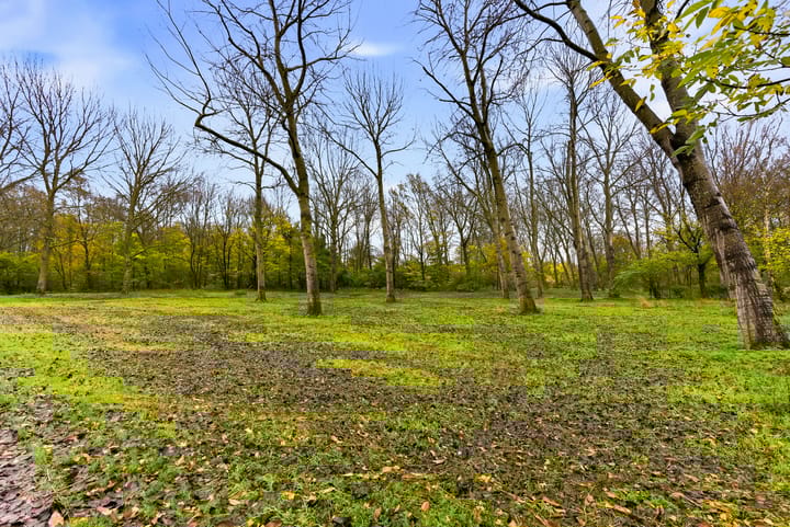 Foto 59 van Kolkgriend 171