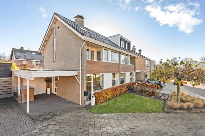 Photo 5 of Dravik 24