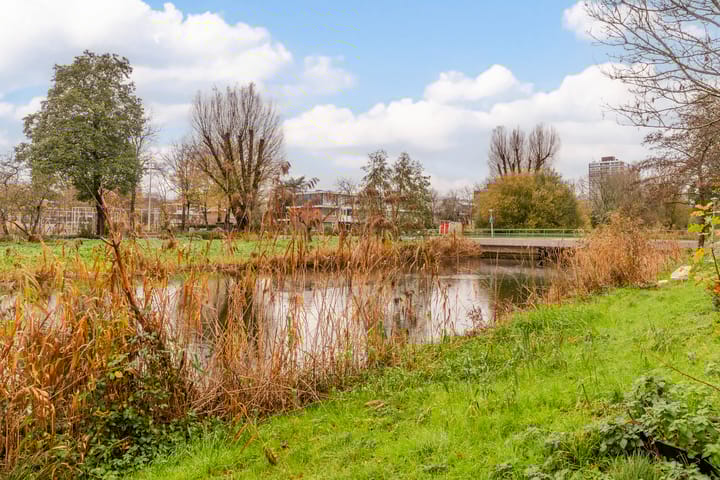 Photo 5 of Oudaen 15