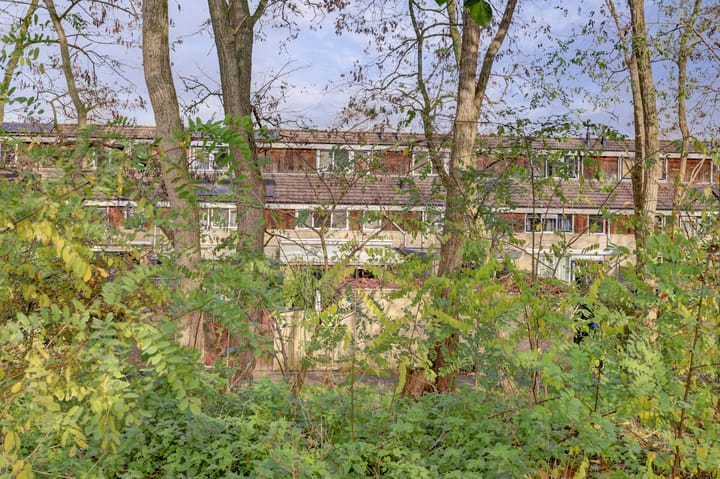 Foto 41 van Myrdalstate 12