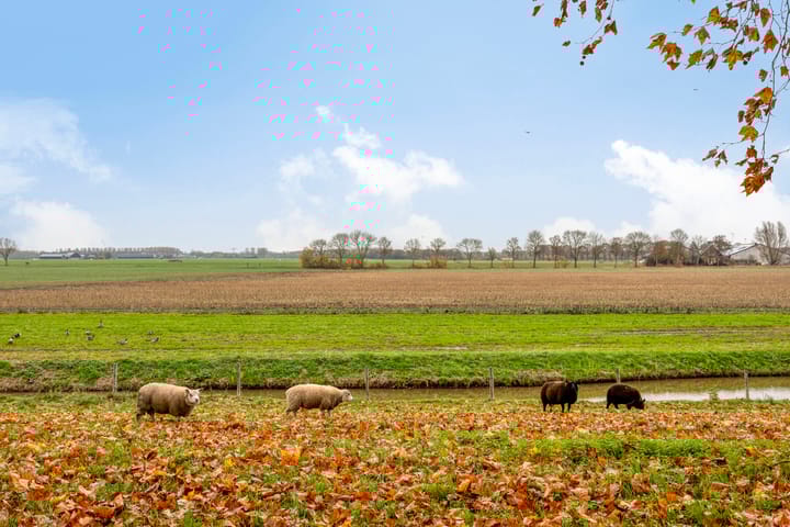 Photo 73 of Voordijk 21