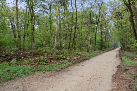 Nieuwe Kazernelaan 51 tertiary image