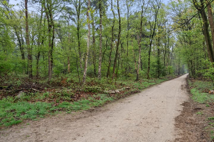 Photo 3 of Nieuwe Kazernelaan 51