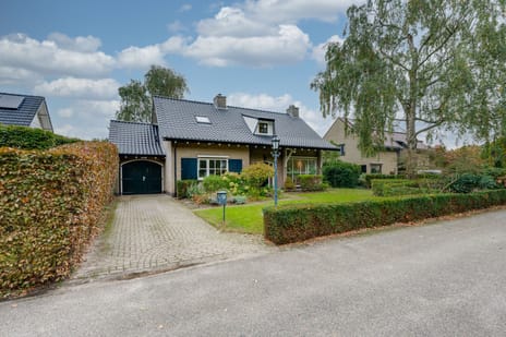 Brouwersbos thumbnail