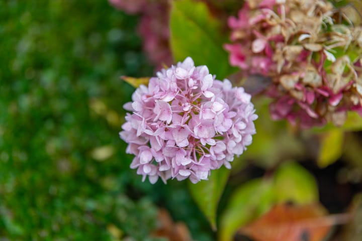 Photo 74 of Achterstraat 26