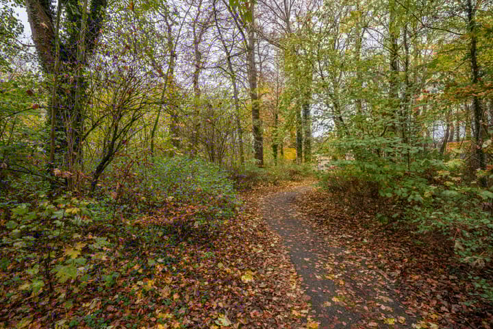 Photo 76 of Achterstraat 26