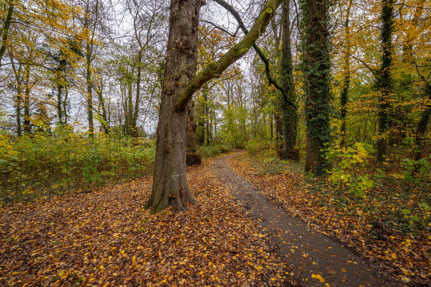 Foto 79 van Achterstraat 26