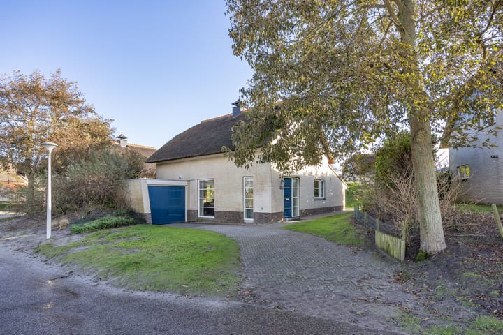 Foto 6 van Javaruggen 31