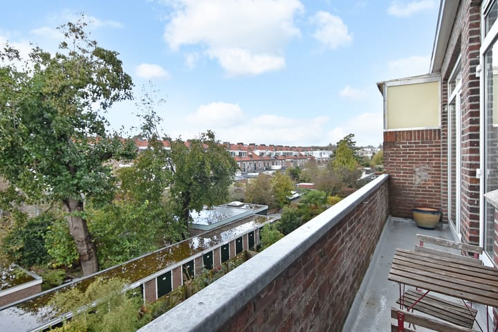 Foto 11 van Soestdijksekade 251