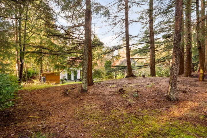 Photo 34 of 't Hertenspoor 135