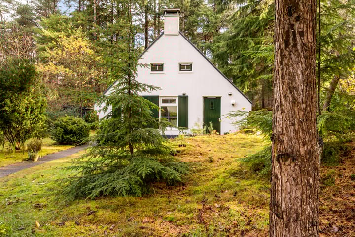 Photo 39 of 't Hertenspoor 135