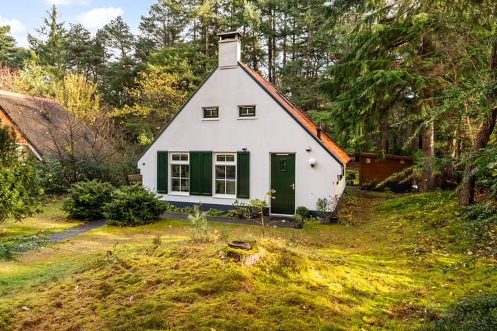 Photo 41 of 't Hertenspoor 135