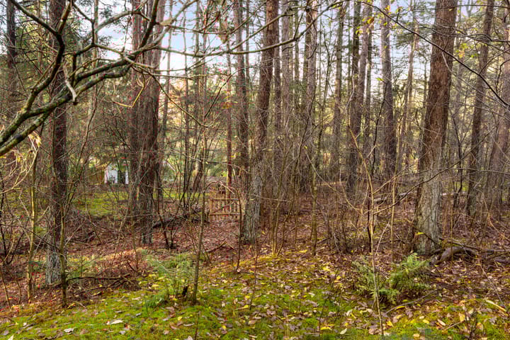 Photo 47 of 't Hertenspoor 135