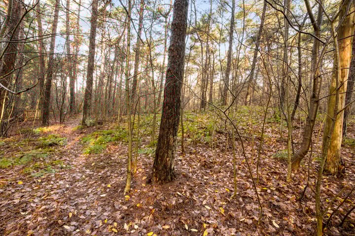 Photo 48 of 't Hertenspoor 135