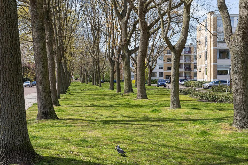 Photo 43 of M. Harpertszoon Tromplaan 222