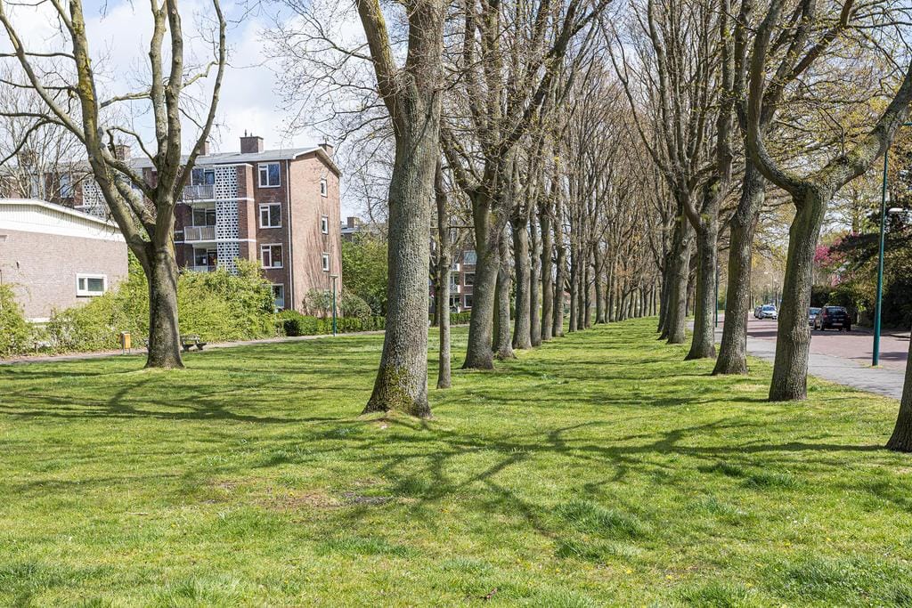 Photo 44 of M. Harpertszoon Tromplaan 222