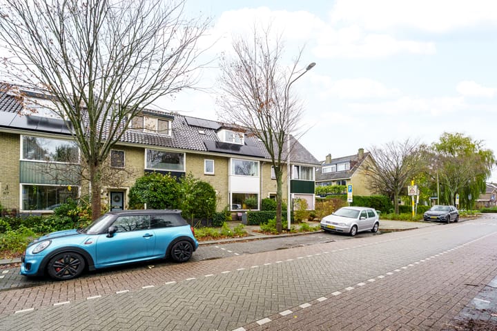 Photo 49 of Meidoornlaan 63