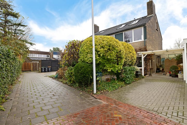 De Wulp 50 main image