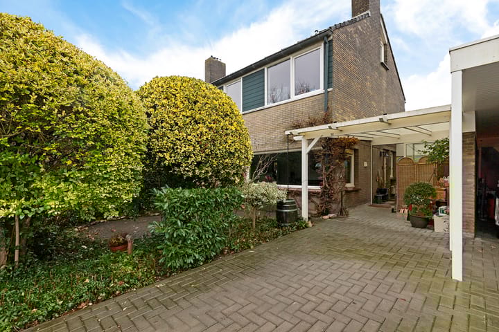 De Wulp 50 main image