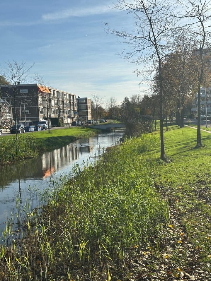 Photo 17 of Gerard Douplantsoen 38