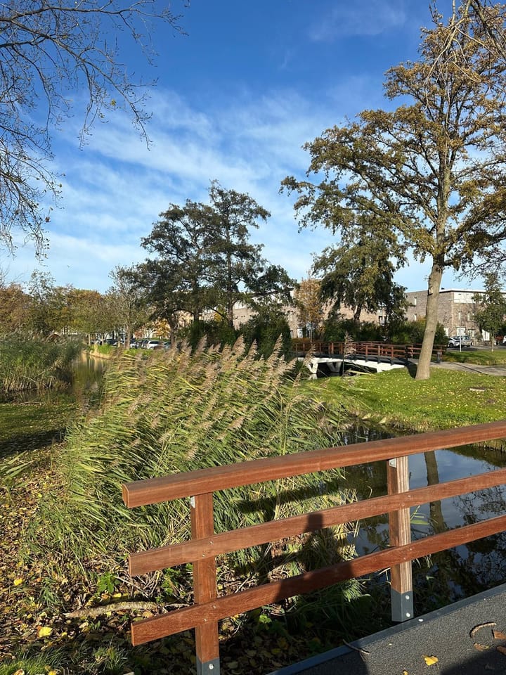 Photo 16 of Gerard Douplantsoen 38