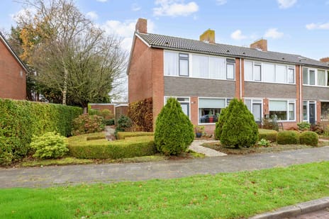 undefined main image