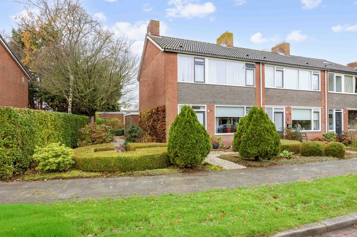 Helmer Molemastraat 50