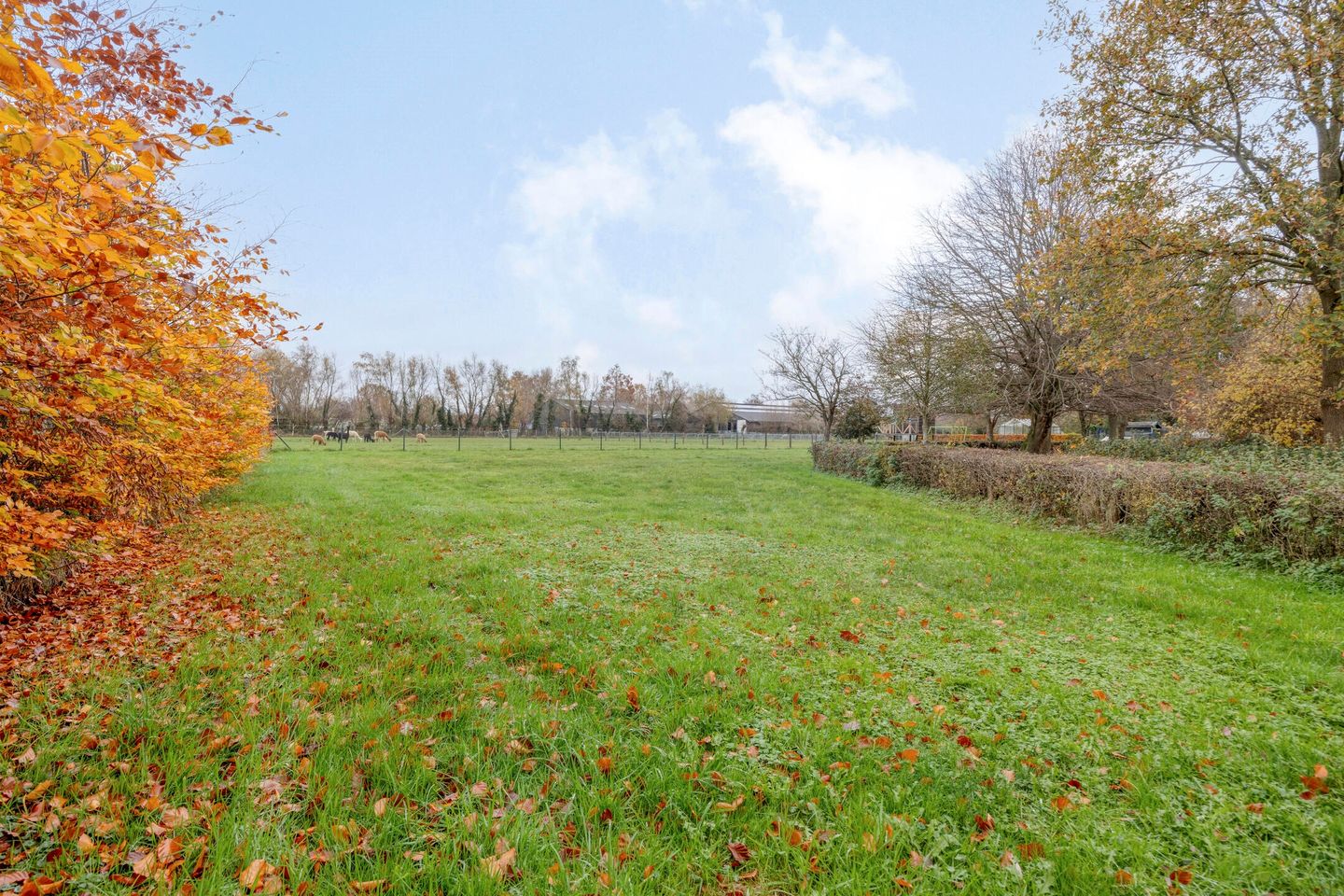 Photo 44 of Boomstraat 14