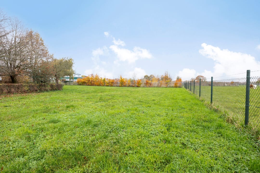 Photo 47 of Boomstraat 14