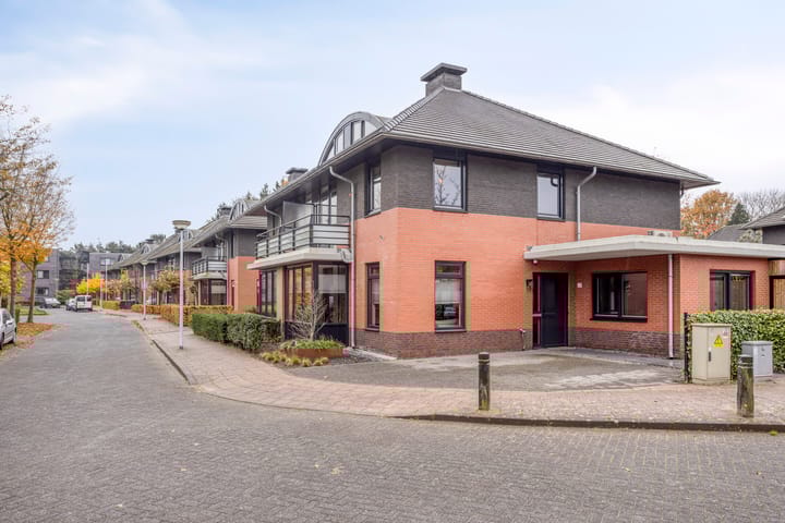 Foto 50 van Heibloem 20