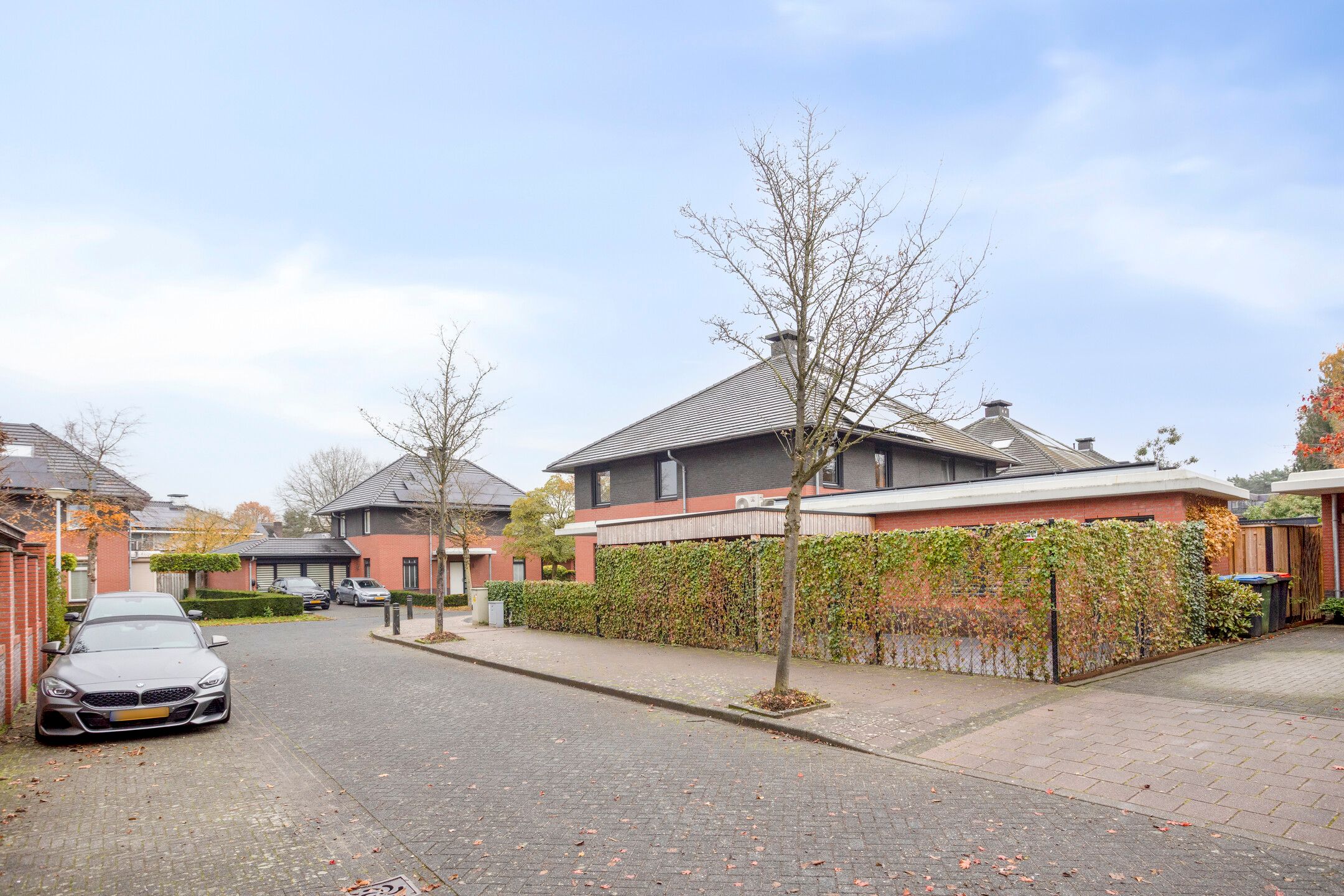 Foto 54 van Heibloem 20