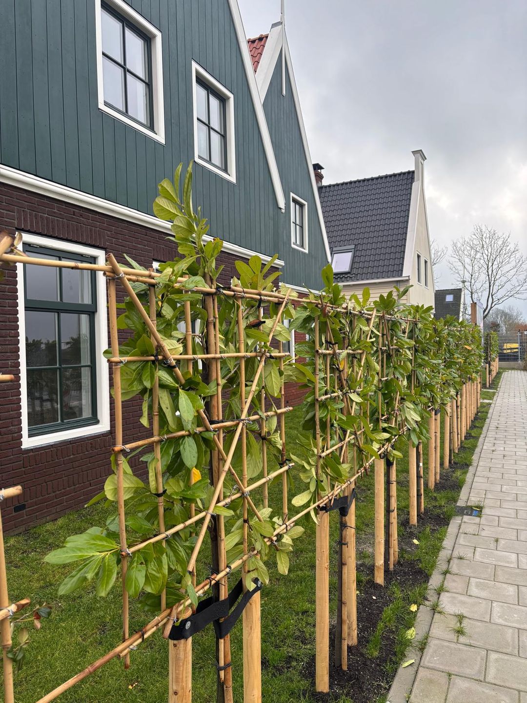 Foto 3 van Stiereveld