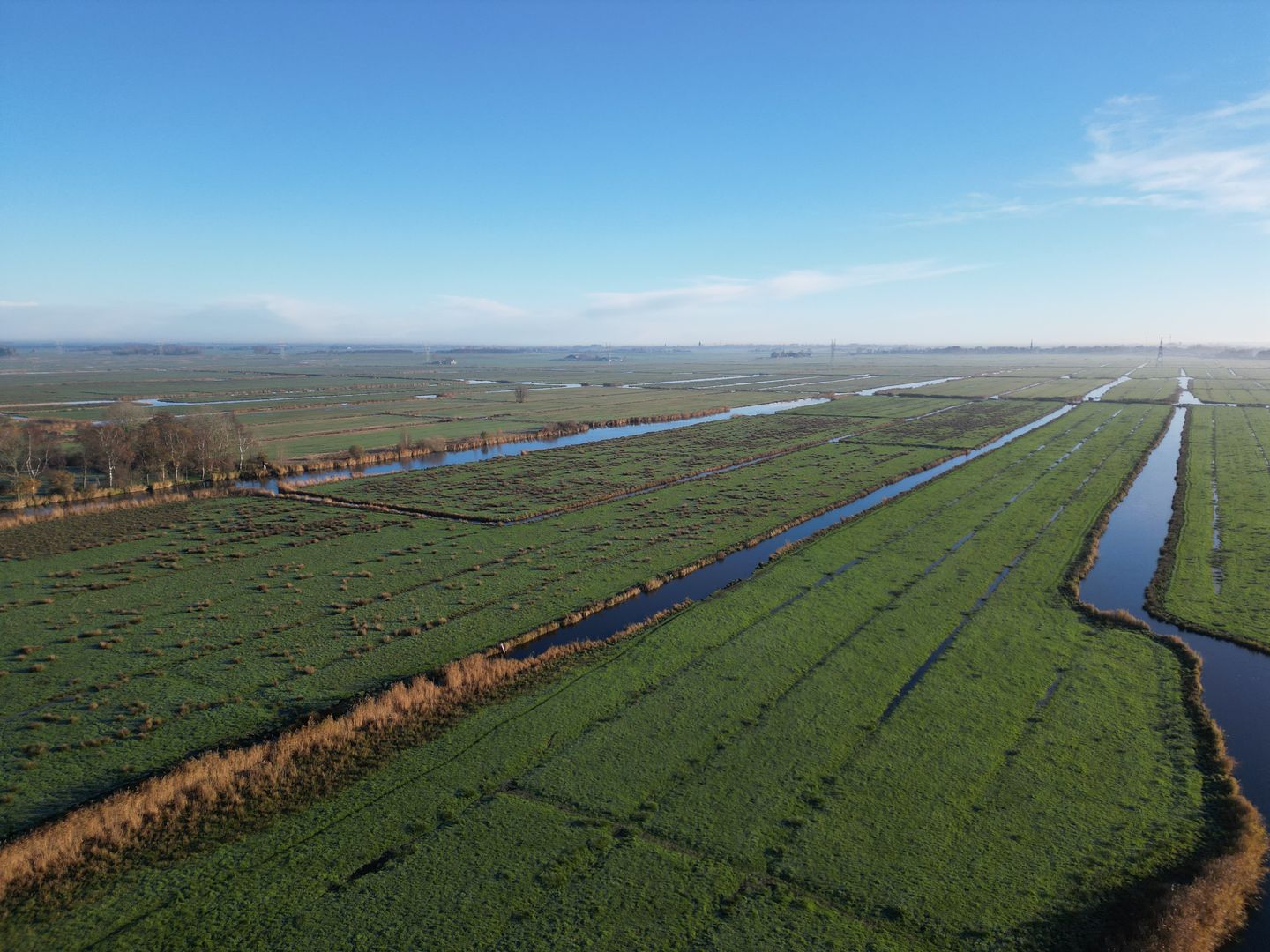 Foto 18 van Stiereveld