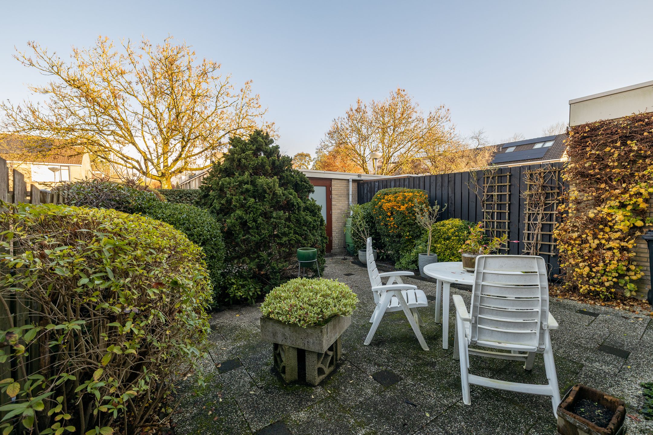 Photo 45 of Woudestein 13