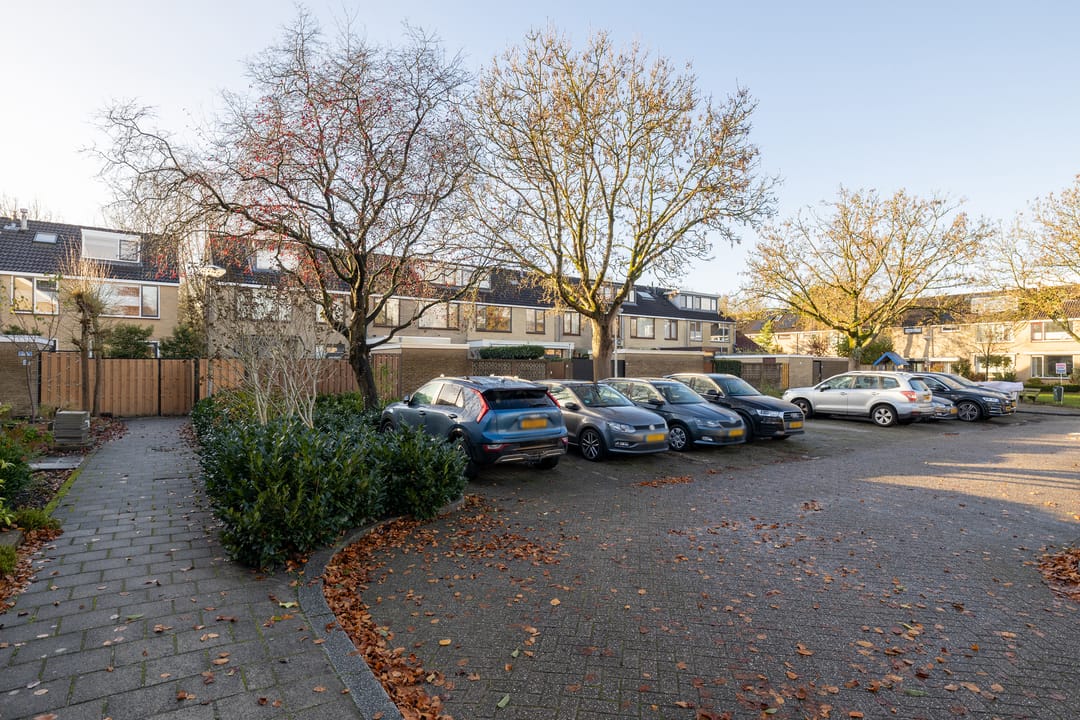 Photo 53 of Woudestein 13