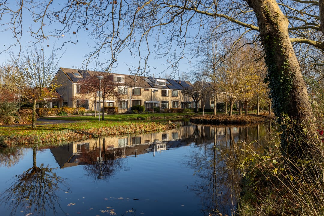 Photo 56 of Woudestein 13